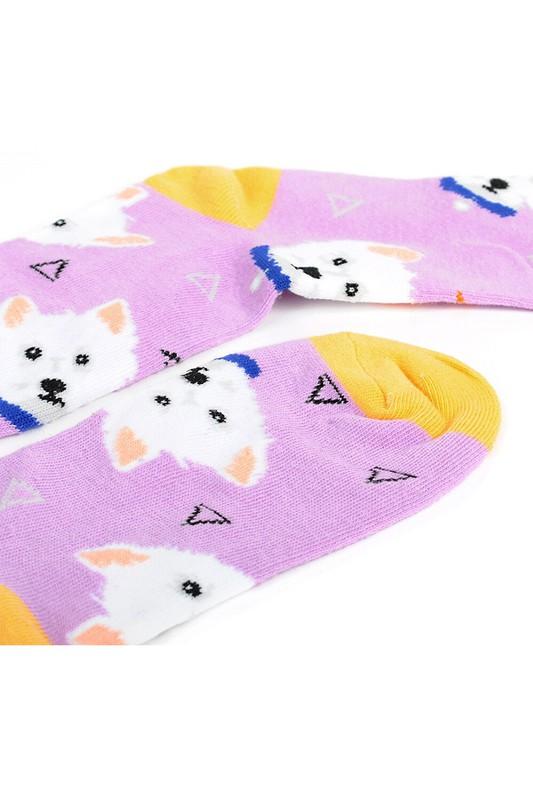 Women's Little White Dog Socks