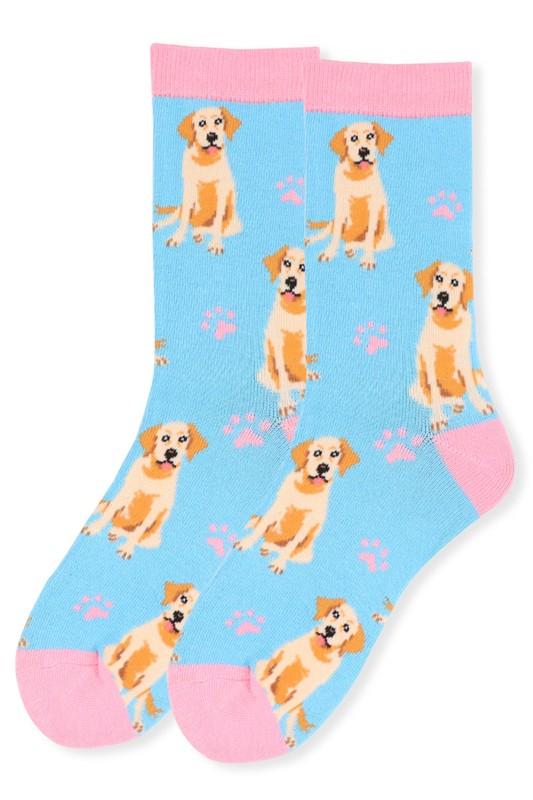 Women's Dog Socks | Yellow Lab
